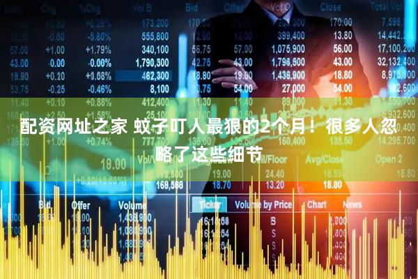 配资网址之家 蚊子叮人最狠的2个月！很多人忽略了这些细节
